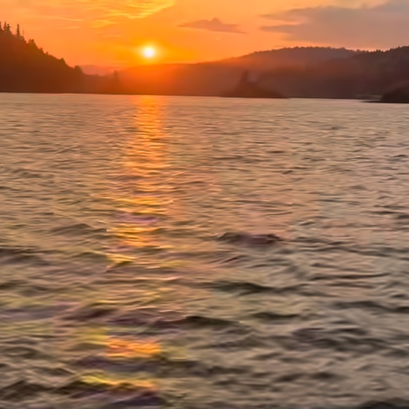 Meet your Posher, Tesha - Picture 1 of 1